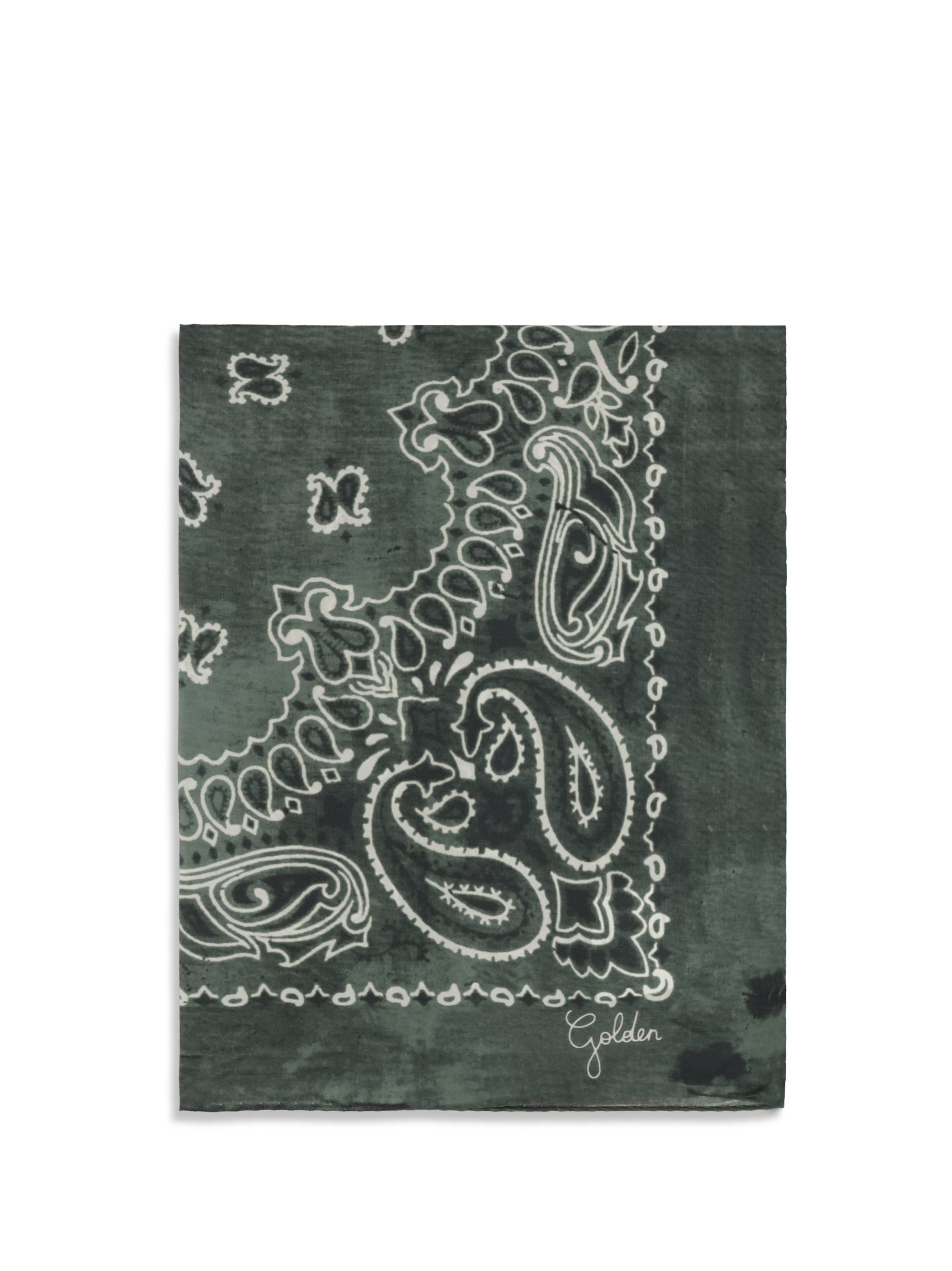 Golden Goose Paisley Printed Silk Scarf — Green by Golden Goose