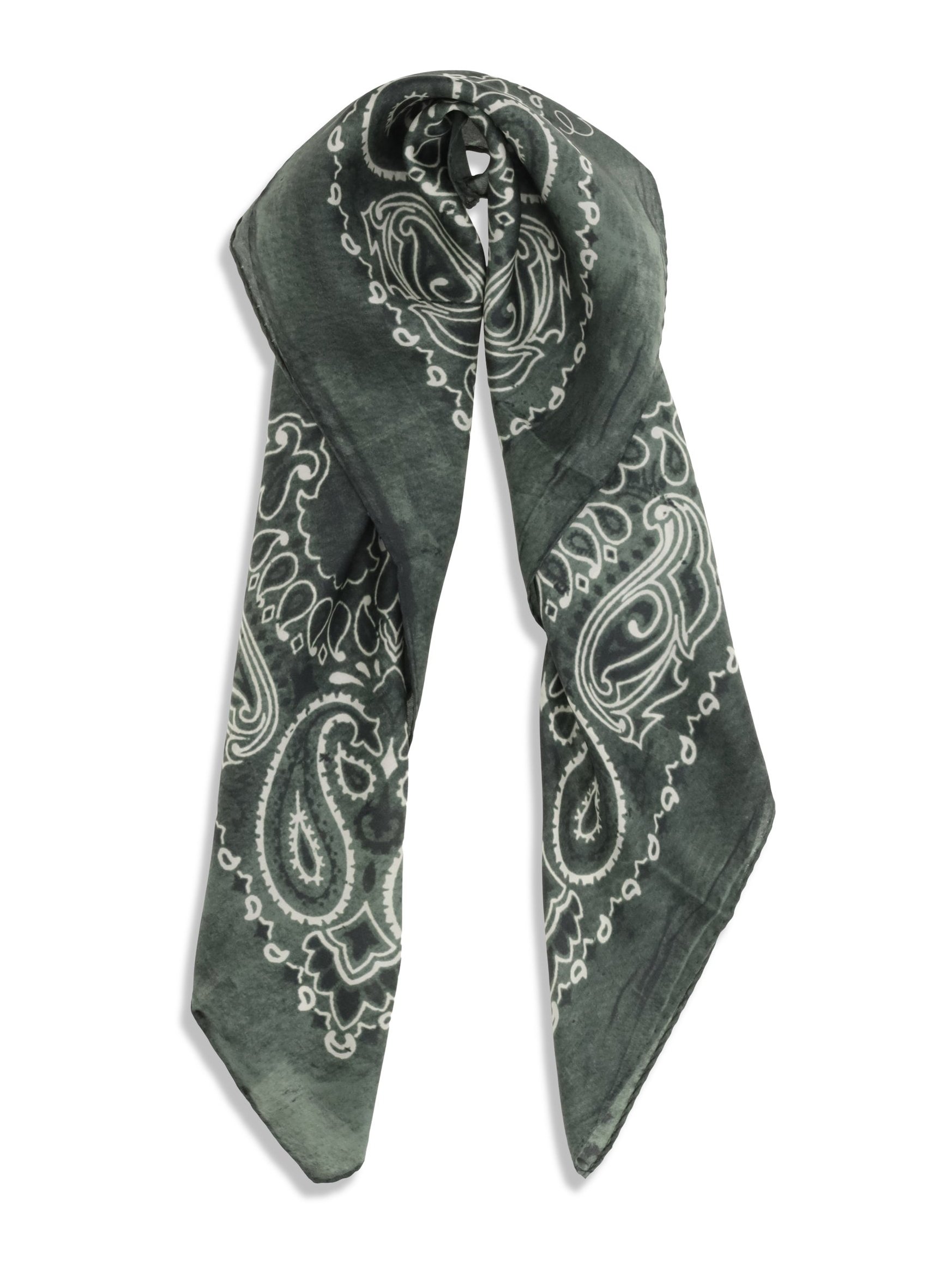 Golden Goose Paisley Printed Silk Scarf — Green, view 2