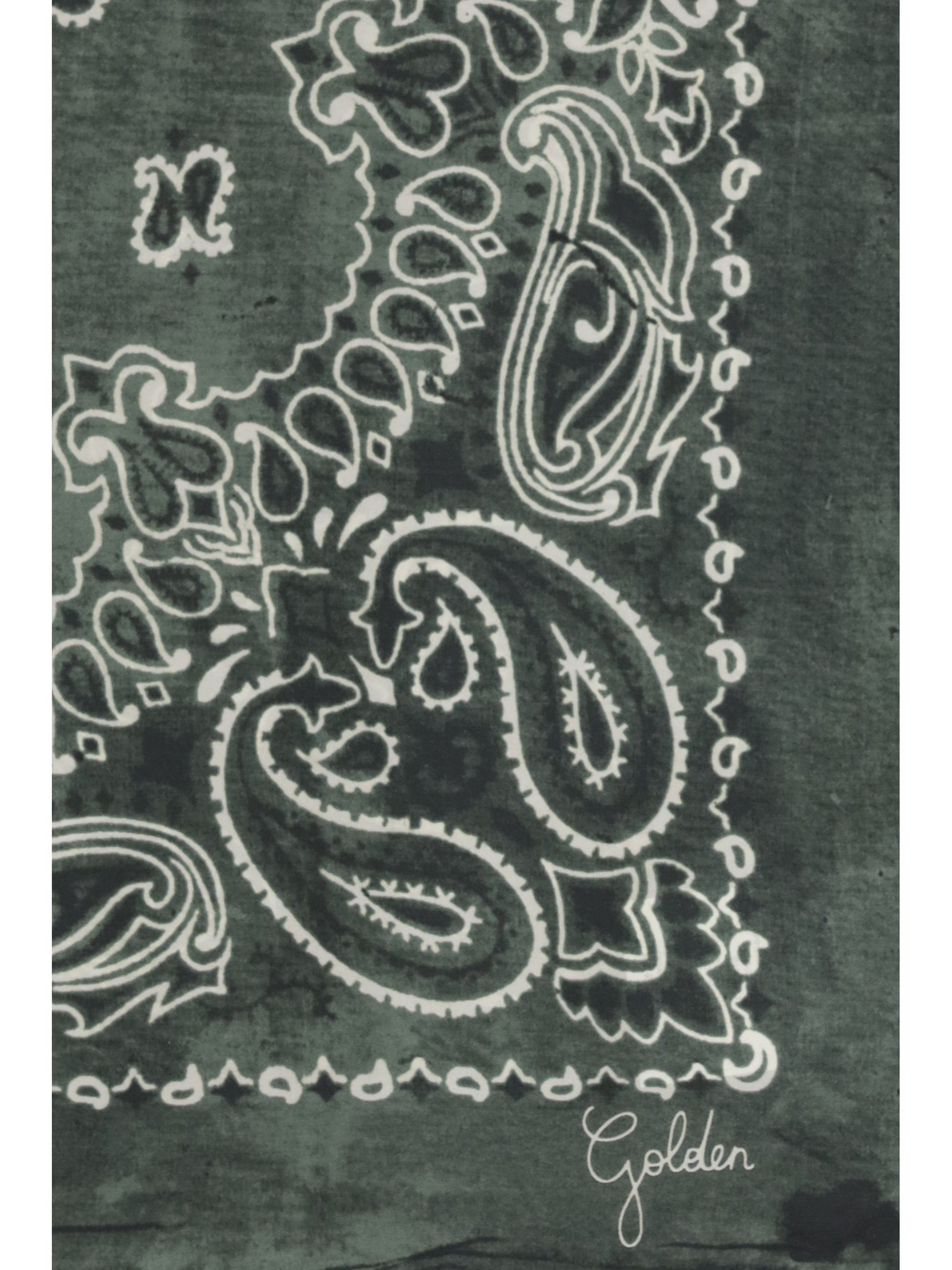 Golden Goose Paisley Printed Silk Scarf — Green, view 3