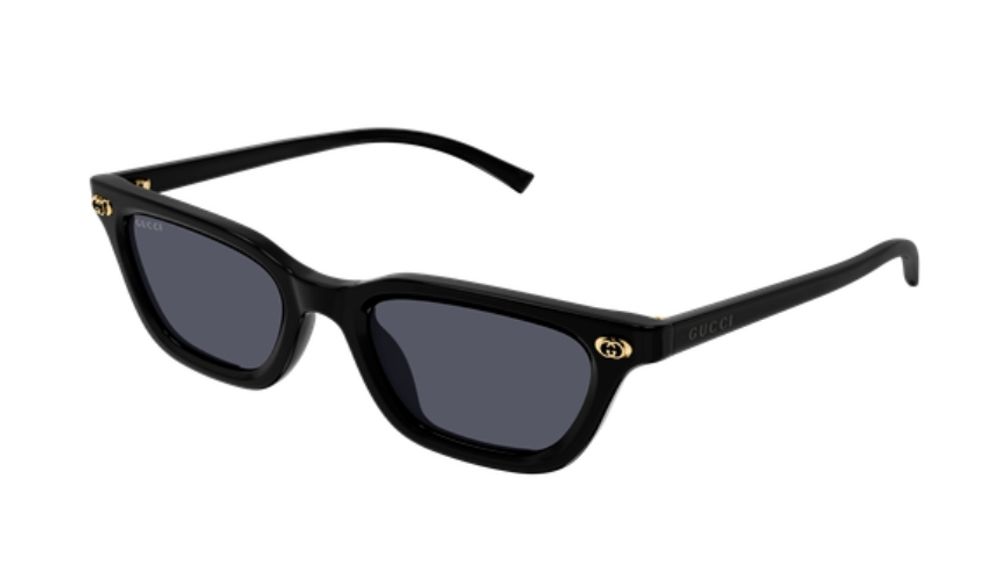 Gucci Eyewear GG1944S001 Cat-Eye Recycled Acetate Sunglasses — Black, view 2