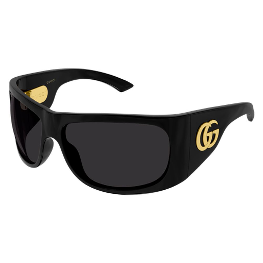 Gucci Eyewear GG2170S Oversized Plastic Sunglasses — Black, view 2
