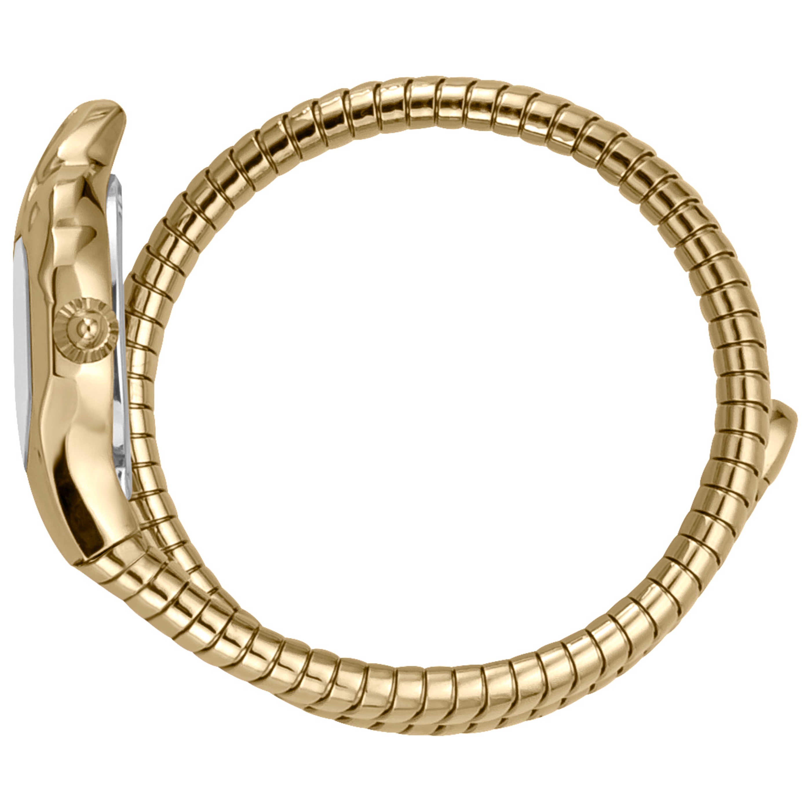 Just Cavalli Snake Green Dial Quartz Watch — Gold, view 3