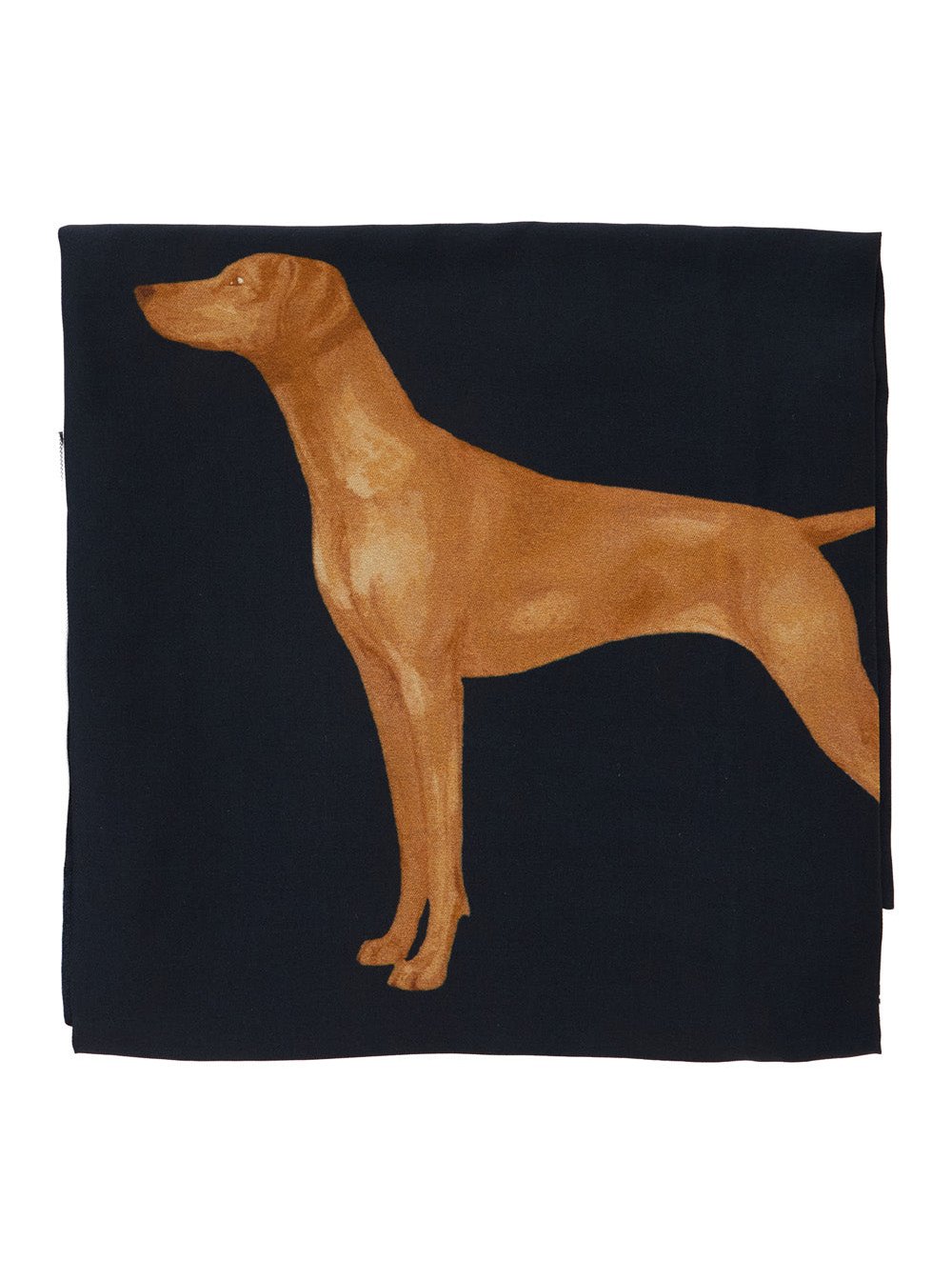 Lauren Ralph Lauren Dog Motif Scarf — Blue by Lauren Ralph Lauren