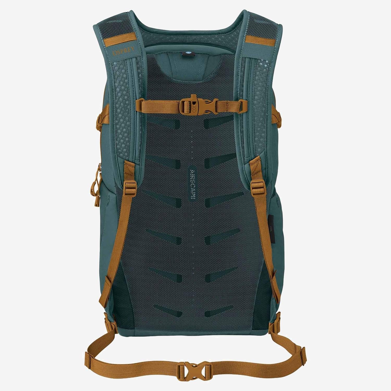 Osprey Daylite Plus Backpack — Green, view 3