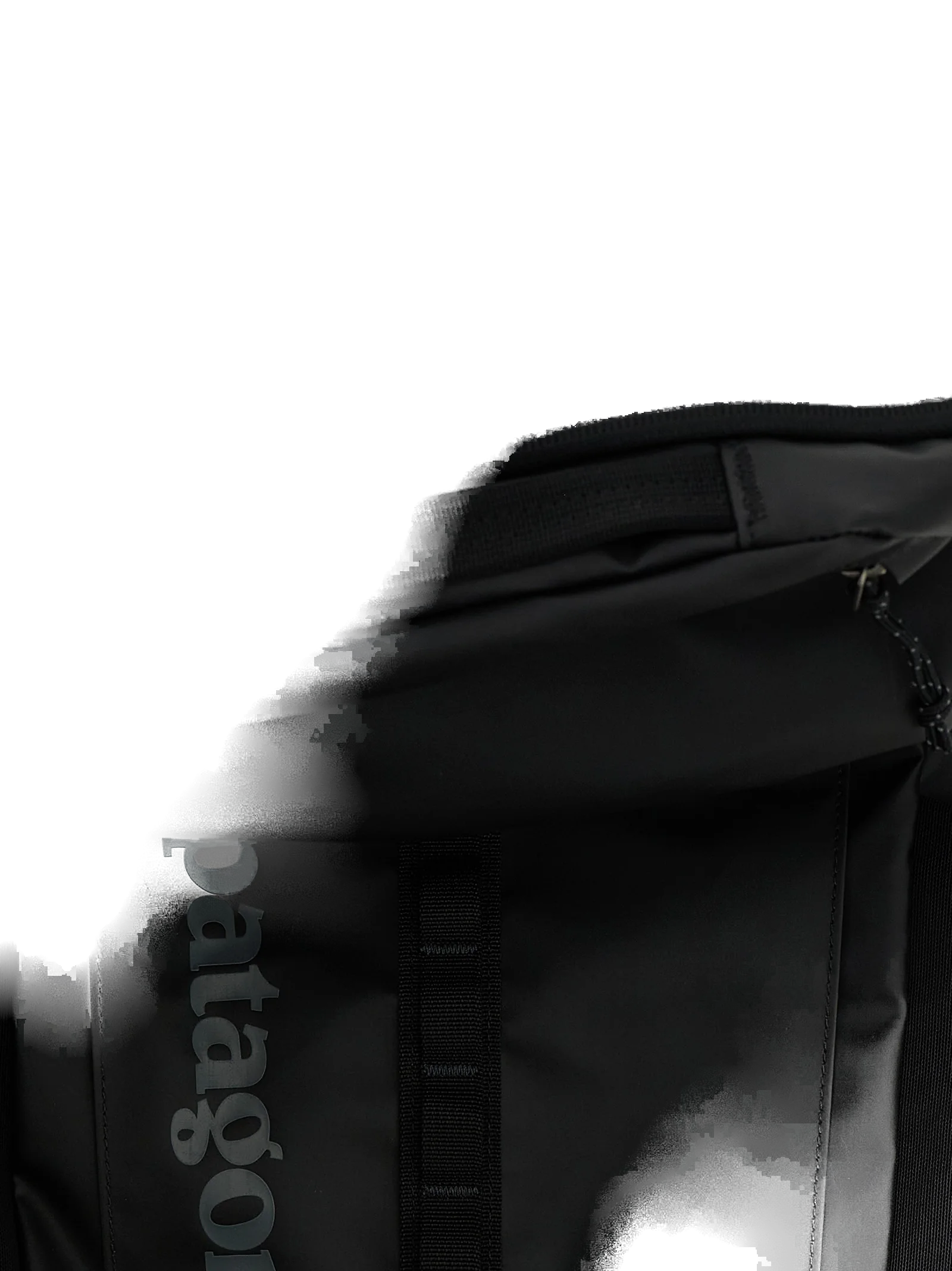 Patagonia Backpack — Black, view 4