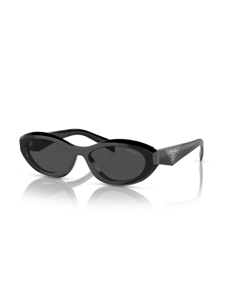 Prada 0PR Oval Acetate Sunglasses — Black by Prada