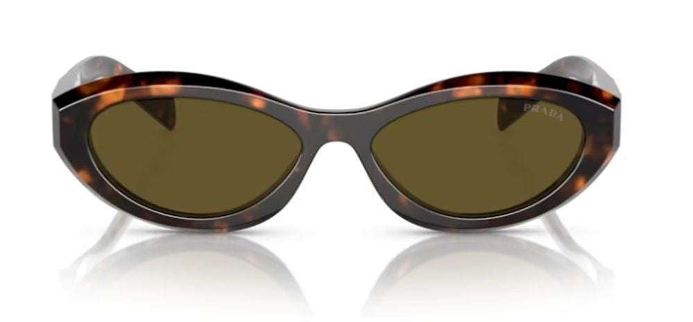 Prada Eyewear SPR26Z14L09Z Oval Acetate Sunglasses — Brown by Prada Eyewear