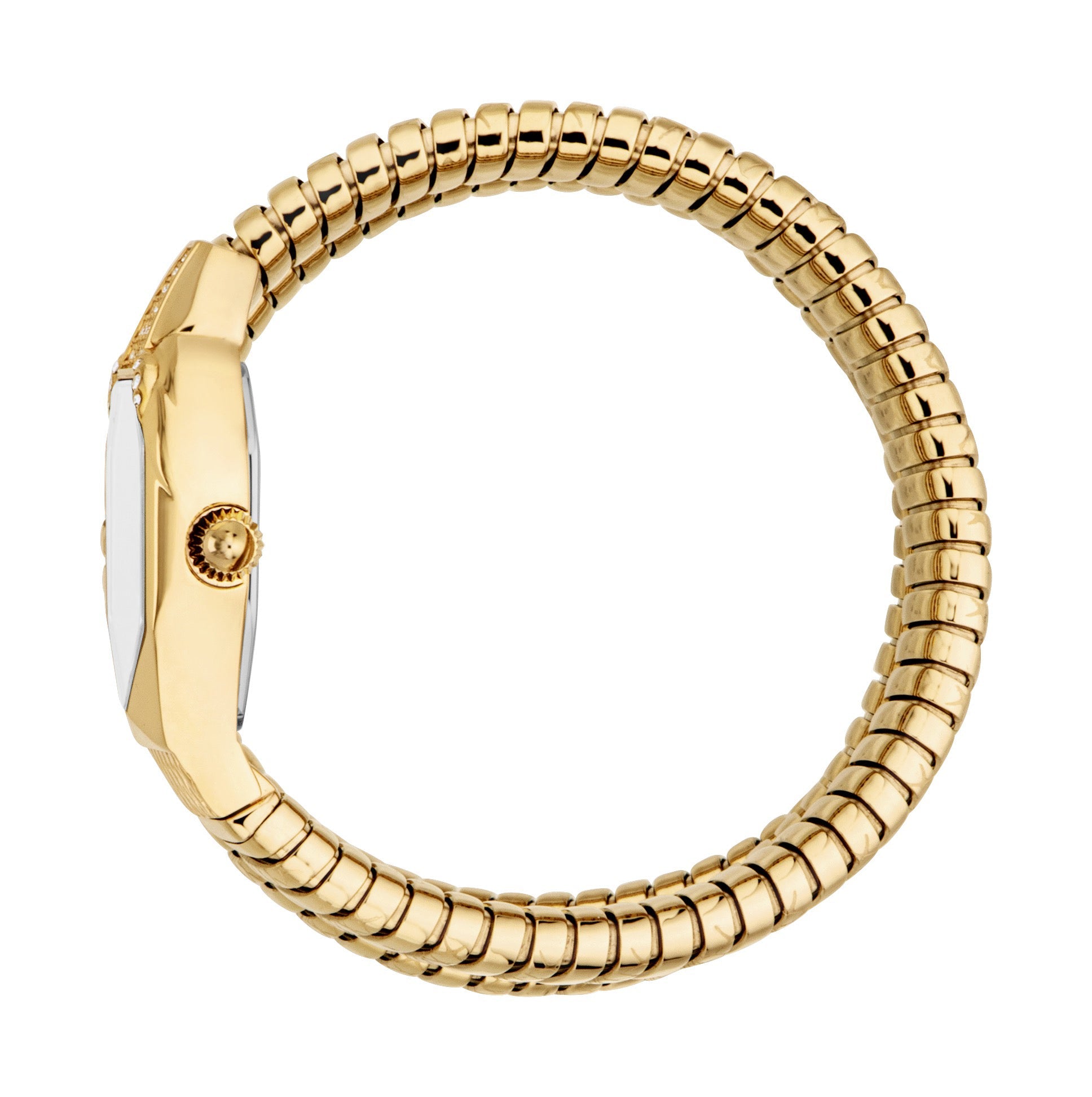 Preloved - Just Cavalli Snake Motif Gold Watch — Gold, view 2