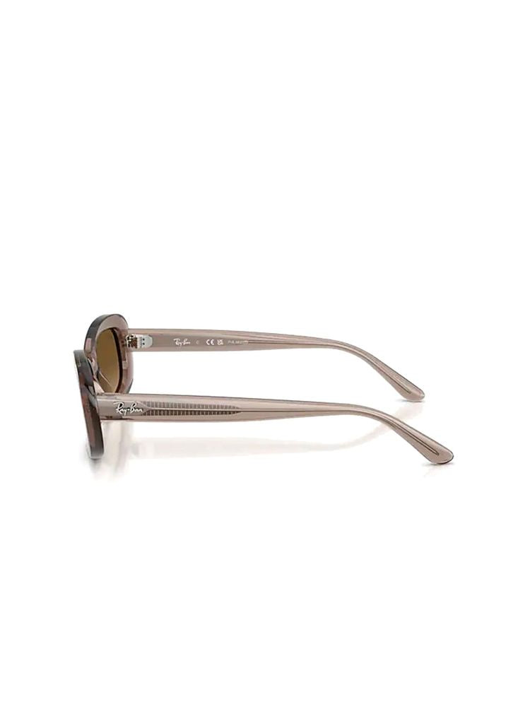 Ray-Ban 0RB2221 Brown Acetate Sunglasses — Brown, view 3