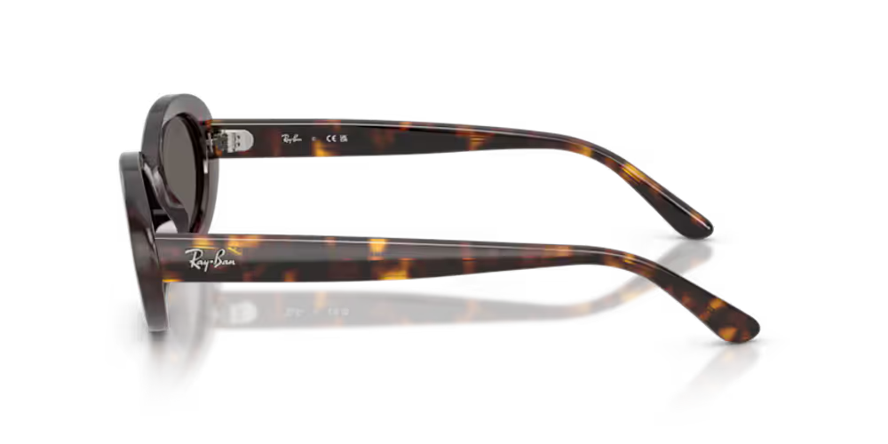 Ray-Ban RB2223902B1 Oval Havana Acetate Sunglasses — Brown, view 3