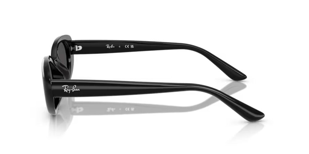 Ray-Ban RB4441D667787 Black Oval-Frame Sunglasses — Black, view 3