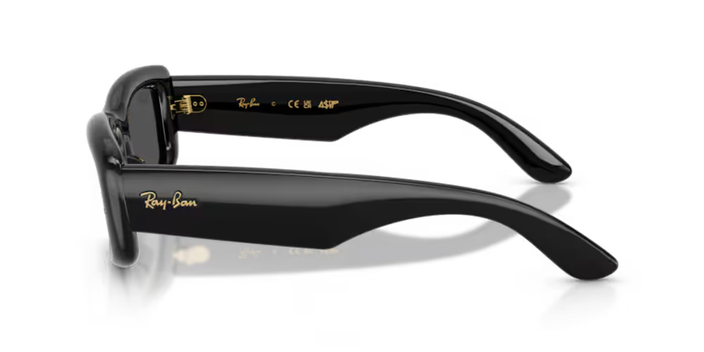 Ray-Ban RB494460187 Sunglasses — Black, view 3