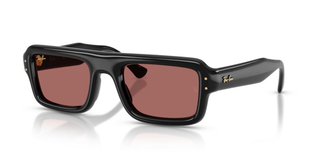 Ray-Ban RB495460169 Sunglasses — Black, view 2