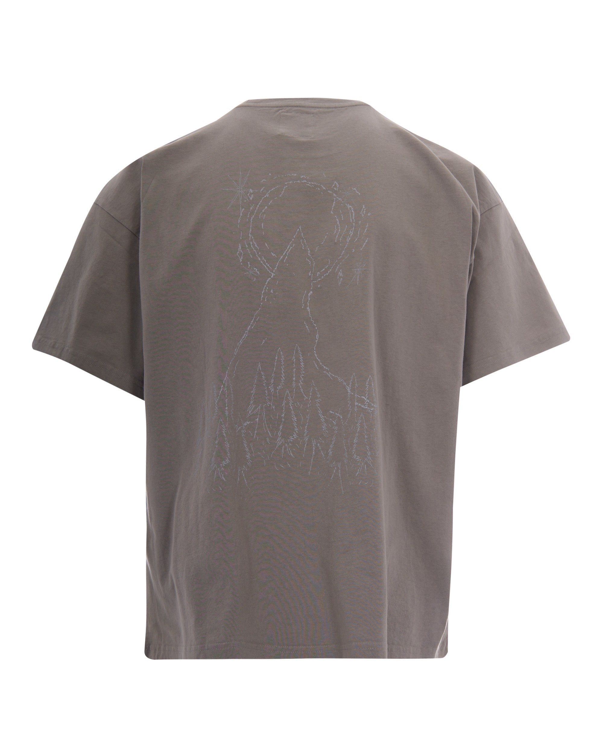 Roa Ryli T-Shirt — Gray, view 2
