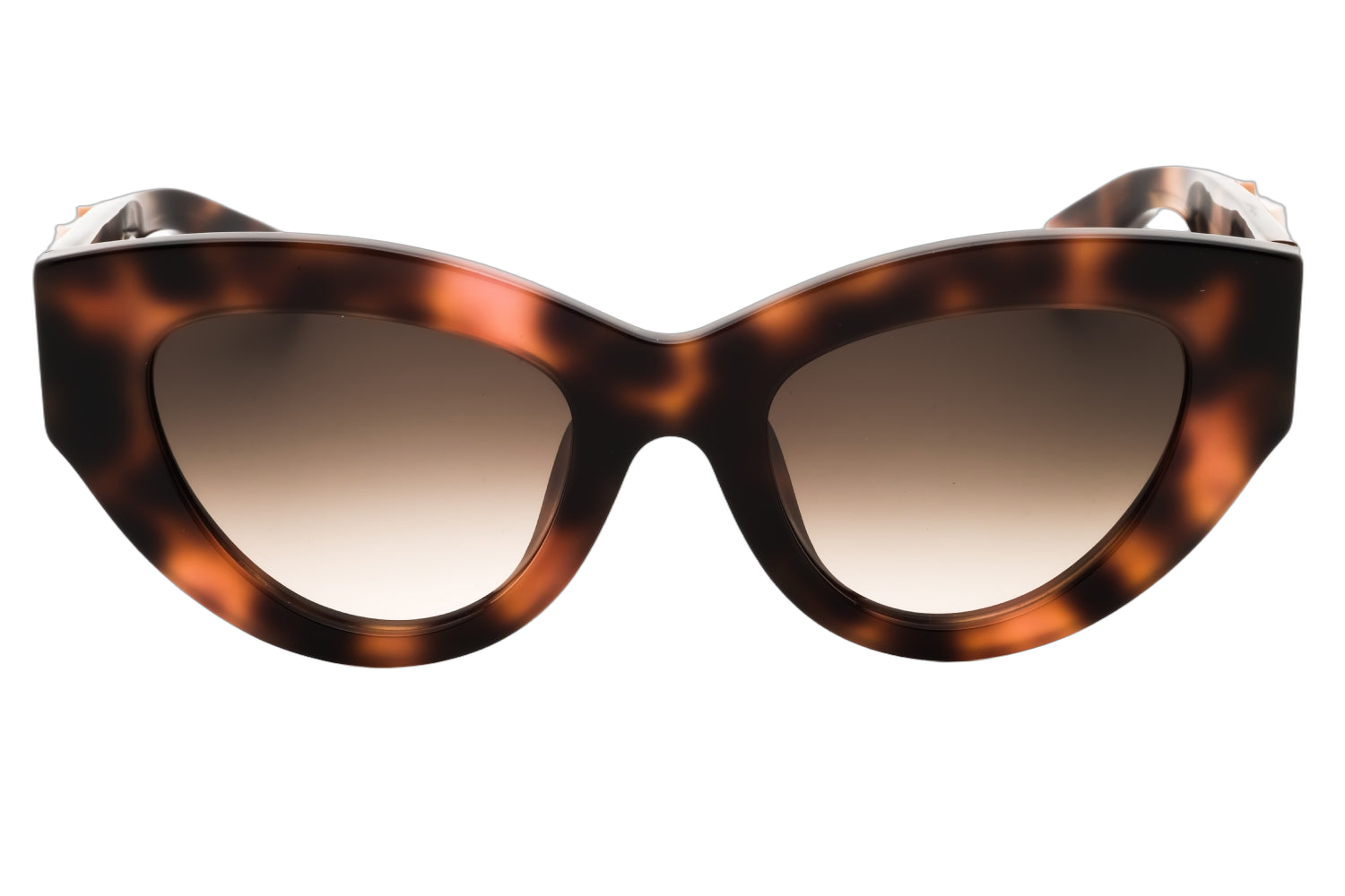 Roberto Cavalli SRC009M Cat-Eye Acetate Sunglasses — Brown, view 2