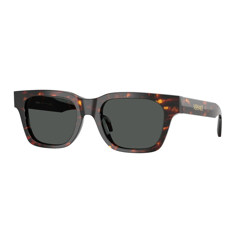 Versace Square Havana Acetate Sunglasses — Brown by Versace