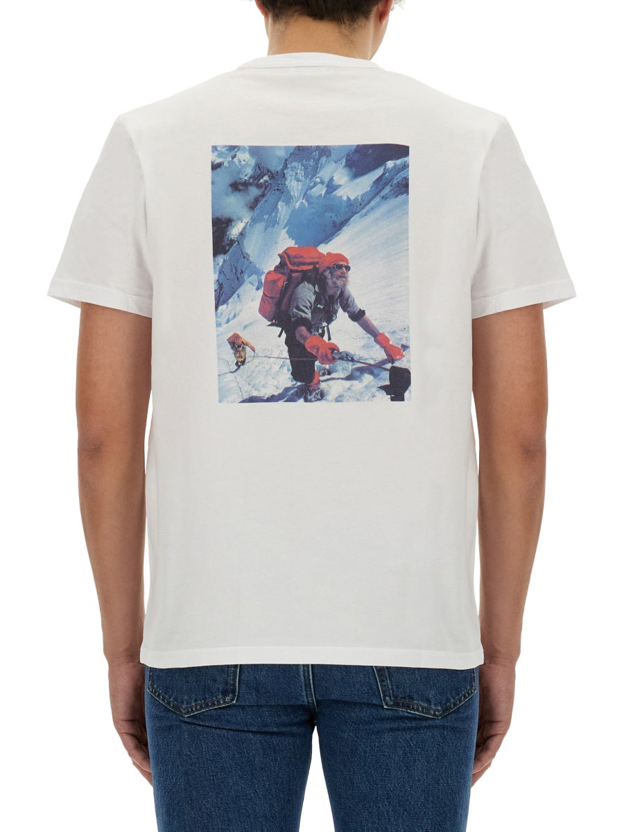 Woolrich Logo Cotton T-Shirt — White by Woolrich